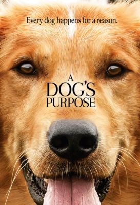 Image of Dog's Purpose, A DVD boxart