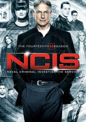 Image of NCIS: Season 14 DVD boxart