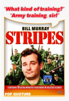 Image of Stripes DVD boxart