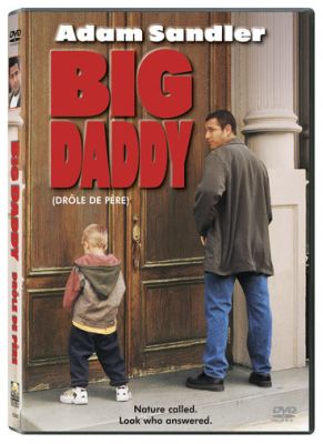 Image of Big Daddy DVD boxart