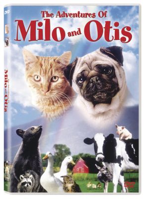 Image of Adventures Of Milo And OtisDVD boxart