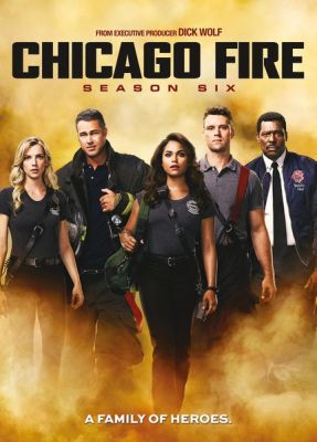Image of Chicago Fire: Season 6 DVD boxart