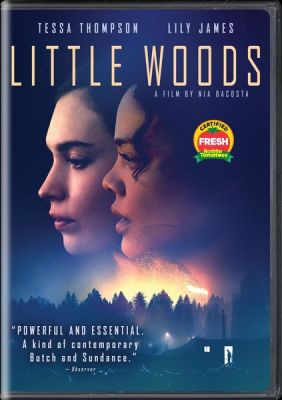 Image of Little Woods DVD boxart