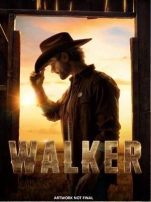 Image of Walker: Season 1 DVD boxart