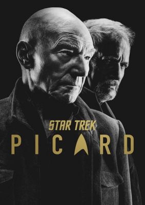 Image of Star Trek: Picard: Season 2 DVD boxart