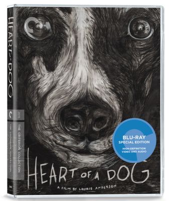 Image of Heart Of A Dog Criterion Blu-ray boxart