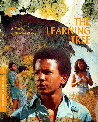 Image of Learning Tree, Criterion Blu-ray boxart