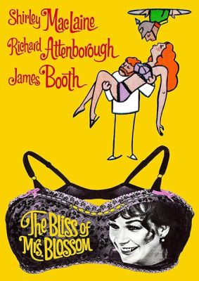 Image of Bliss of Mrs. Blossom Kino Lorber DVD boxart