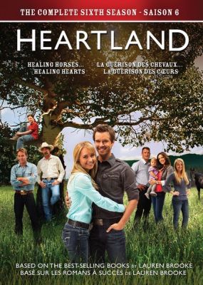 Image of Heartland: Season 6 DVD boxart