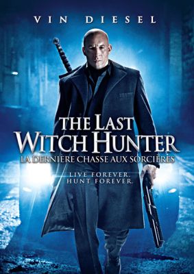 Image of Last Witch Hunter DVD boxart