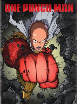 Image of One Punch Man DVD boxart