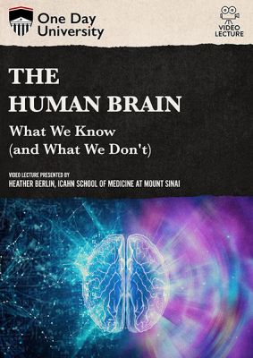 Image of Human Brain: What We Know (and What We Don't) DVD boxart