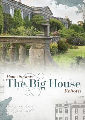 Image of Big House Reborn DVD boxart