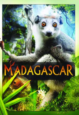 Image of Madagascar DVD  boxart