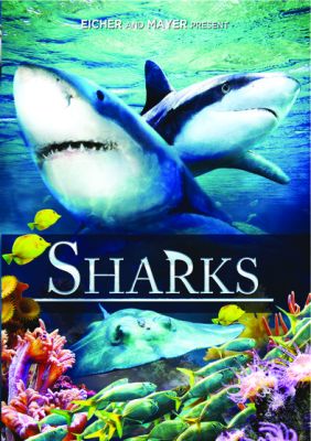 Image of Sharks DVD boxart
