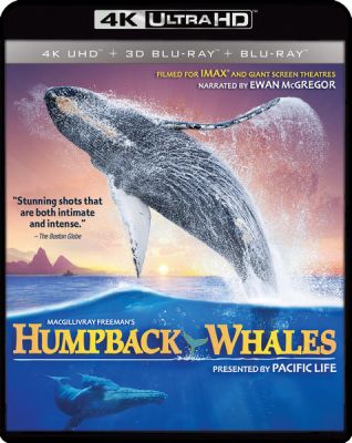 Image of IMAX: Humpback Whales 4K boxart