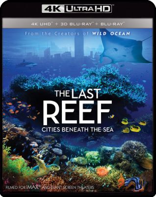 Image of IMAX: The Last Reef: Cities Beneath the Sea 4K boxart