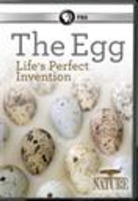 Image of Nature: The Egg: Life's Perfect Invention  DVD boxart