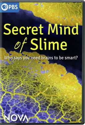 Image of NOVA: Secret Mind of Slime  DVD boxart