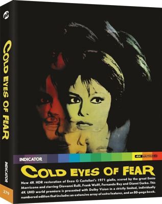 Image of Cold Eyes of Fear  4K boxart