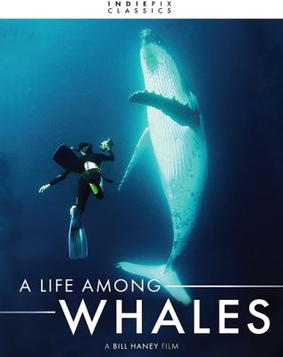 Image of Indiepix Classics: A Life Among Whales DVD boxart