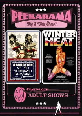 Image of Abduction Of An American Playgirl + Winter Heat Vinegar Syndrome DVD boxart