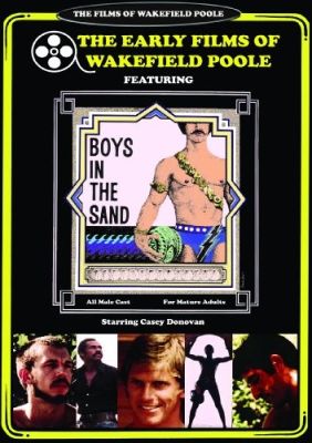 Image of Boys In The Sand Vinegar Syndrome DVD boxart