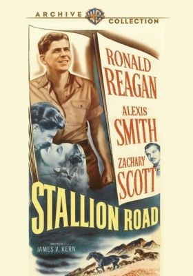 Image of Stallion Road DVD  boxart