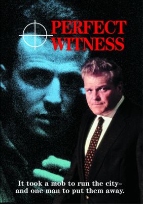 Image of Perfect Witness DVD  boxart