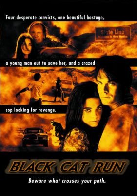 Image of Black Cat Run DVD boxart