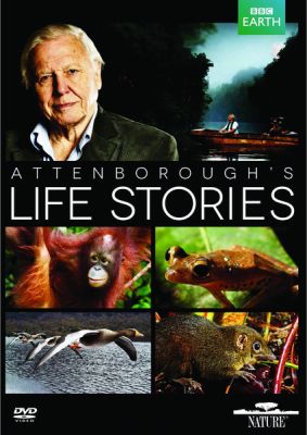 Image of Life Stories DVD boxart