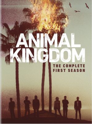 Image of Animal Kingdom: Season 1  DVD boxart