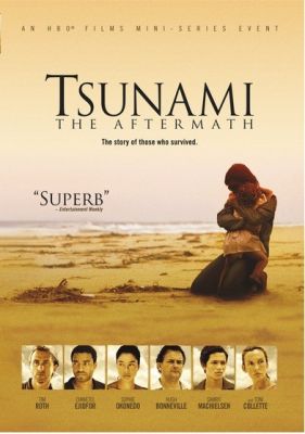Image of Tsunami: The Aftermath DVD  boxart