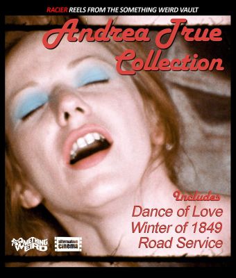 Image of Andrea True Collection DVD boxart