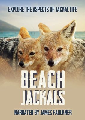Image of Beach Jackals DVD boxart