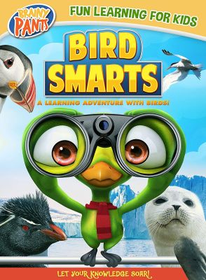 Image of Bird Smarts DVD boxart