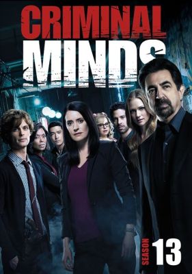Image of Criminal Minds: Season 13 DVD boxart