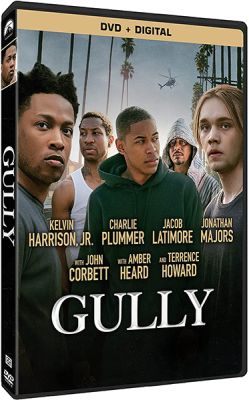 Image of Gully  DVD boxart