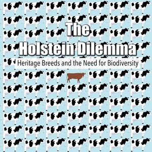 Image of Holstein Dilemma DVD boxart
