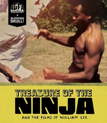 Image of Treasure of the Ninja and the Films of William Lee Vinegar Syndrome Blu-ray boxart
