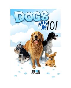 DOGS 101 (DVD)