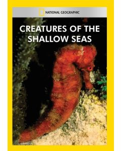 Creatures of the Shallow Seas