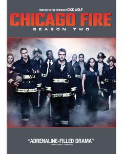 Chicago Fire: Season 2 (DVD)
