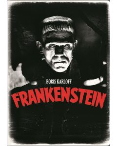 Frankenstein (DVD)
