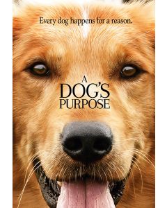 Dog's Purpose, A (DVD)