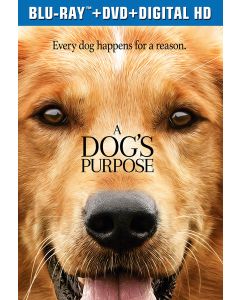 Dog's Purpose, A (Blu-ray)
