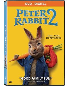 Peter Rabbit 2 (DVD)
