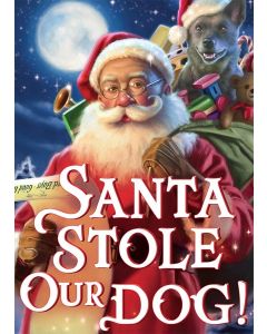 Santa Stole Our Dog! (DVD)