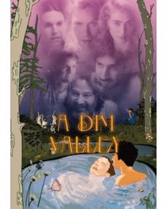 A Dim Valley (DVD)