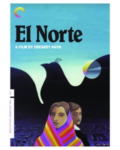 El Norte (DVD)